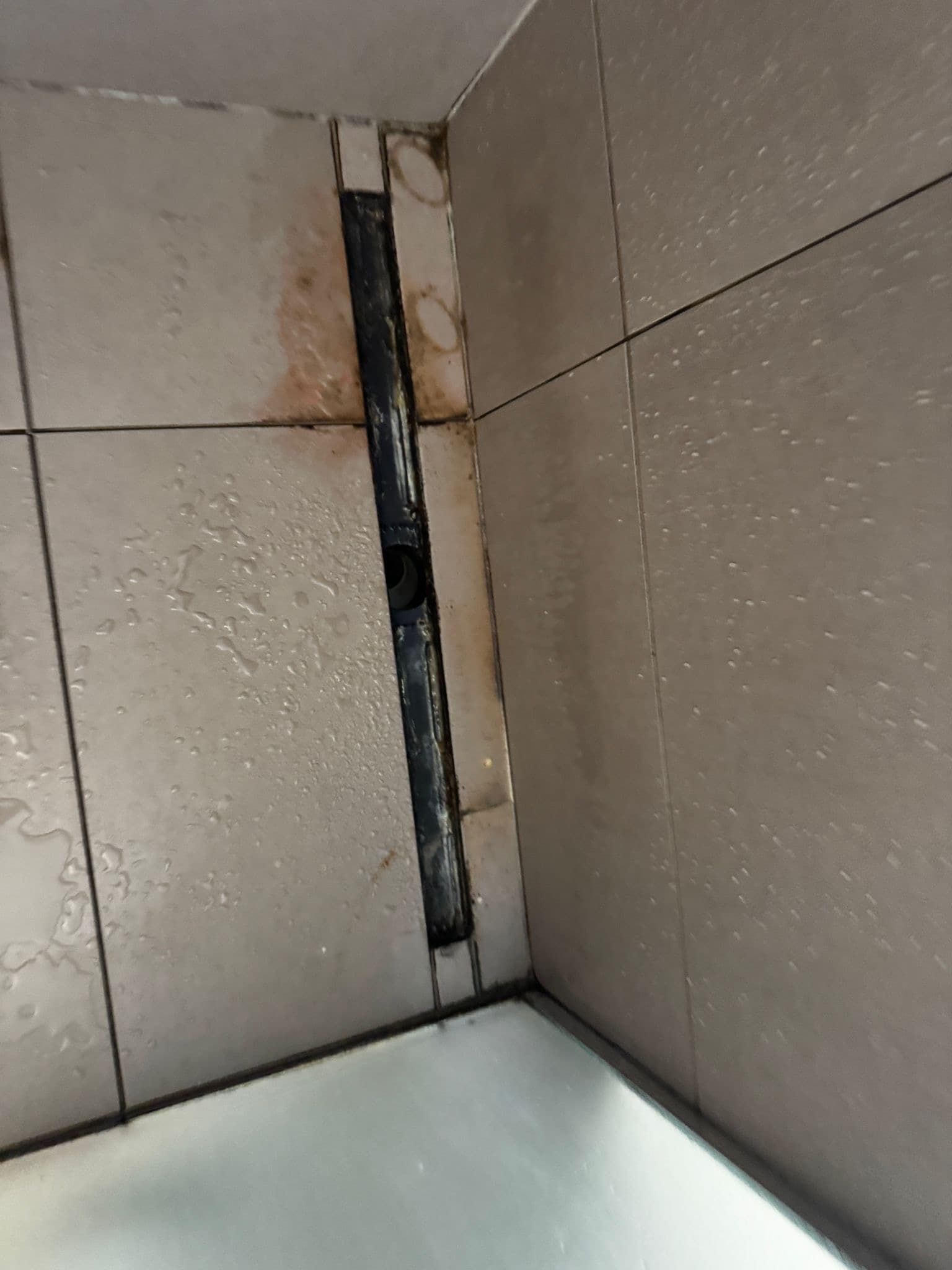 Shower Drain — Before