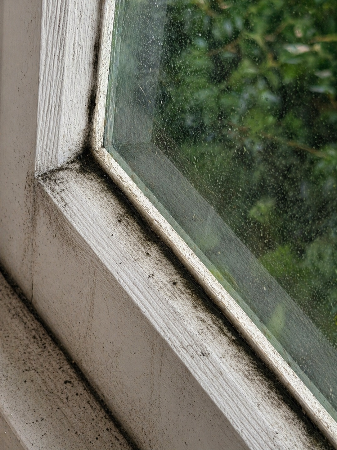 Window Sill - After
